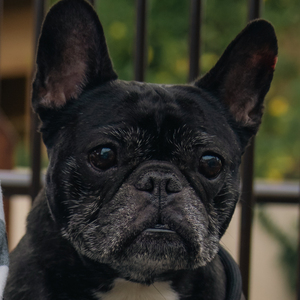 Fundraising Page: Alison Wong